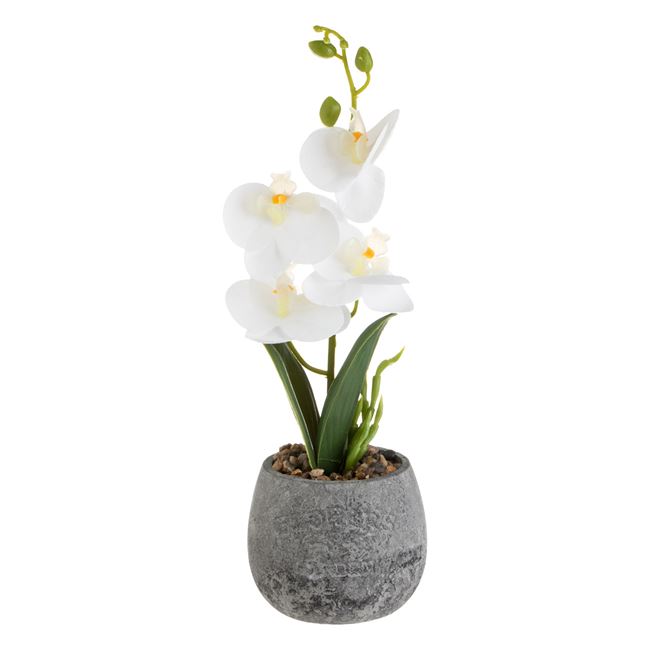 Kerámia szürke dekoratív virágcserép fehér orchidea Ø10x30cm